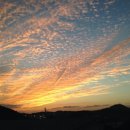 43번가 게스트하우스 이미지