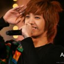 미르미르 Daum카페