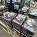 푸른건어물 이미지