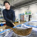 수원-1288 이미지