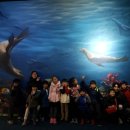 스카이 태권도 이미지