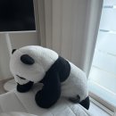 마마국시집 | 밀림 4