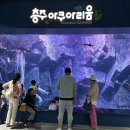충주시탄금홀 | 충주 아쿠아리움 &amp; 탄금공원 나무숲놀이터 후기 🌿 | 어린이날 가볼만한 곳으로 딱!