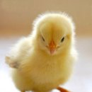 (주)우리학원 이미지