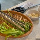 제주흑다돈 이미지