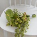 유정가든 | 서울 채도스냅 스튜디오 촬영 후기 | 결국 4번째 촬영까지 와버린 이야기