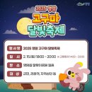 영암군 달빛축제 이미지