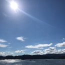 서일소방산업 | 서일소방산업 "CJ 물류창고 납품 후기"
