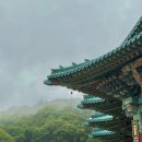 도량현대정비 | 비가 그친 순간 더 아름다웠던 용인 법륜사 | 마음까지 맑아지는 사찰 나들이🌿