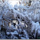 산수마을 이미지