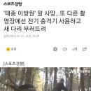 ‘태종 이방원’ 말 사망…또 다른 촬영장에선 전기 충격기 사용하고 새 다리 부러뜨려 이미지