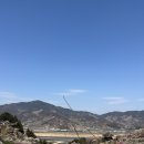 동광양꽃판매장 | [공지] [직접 가봄] 2026년 광양매화축제 후기 | 주차 꿀팁 및 셔틀버스, 현시점 개화율