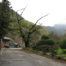 수락 농장 이미지