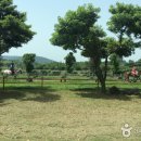 오케이승마장 이미지