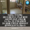 왕실장 이미지