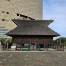 한무도장 | 🏯 [오사카] 오사카성 천수각 관람 후기 &amp; 주유패스로 무료입장하는 꿀팁