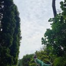 와글와글봄소풍 | 공룡좋아하는 아이 소풍 _ 이천 다이노밸리