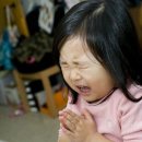 하이베베 이미지