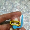튜브와오리발