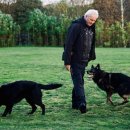 프라임 도그 이미지