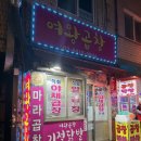 당근여왕 | [종로구 맛집] 창신동 동대문역 곱창 마라곱창 야채곱창 닭발 여왕곱창 후기