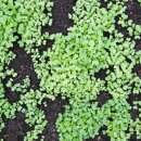 유성구청 별관1층 이미지