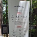 지금 제주 | 제주 카멜리아힐 수국 6월후기 지금이 딱 절정이에요!