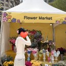 꽃이 좋아 이미지