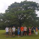 제주특별자치도지적발달장애인복지협회 이미지