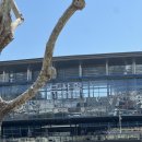 대야삼 2공원 공중화장실 | 첫 출사를 가장한 부산나들이?