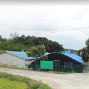 천수목장 이미지