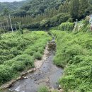 꿈꾸는 나무 | 대전 &#34;꿈꾸는 농부 캠핑장&#34; 카라반 후기