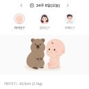 오구본가 | [쿼카일기🦫]34-36주 후기 임산부의 일상ㅣ조선대학교병원 전원 후기/성심당 임산부 프리패스/석사 학위...