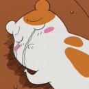 만듬 Daum카페