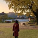 청현1-4 취입보 | 개량한복 쇼핑몰 추천 여자 생활한복 브랜드 내돈내산 top3