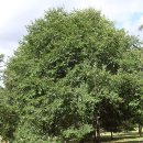 느릅농장 이미지