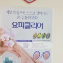르앤에스네일