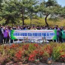 연수승기마을 이미지