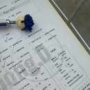 호수헤어라인 | 동탄호수공원 뭉드왁싱 맞춤디자인 헤어라인 왁싱 후기