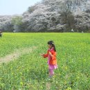 나비야함평가자 이미지