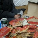 섭장어 | 철 별미 대게와 도루묵을 찾아 떠난 묵호항에서 자연산 가리비와 대왕 섭을 발견하다! [이건 먹어야지!]