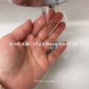 냥아치냥 이미지