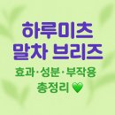 하루미츠 말차 브리즈 효과·성분·부작용 총정리 💚