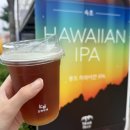 몽트 | 속초 해수욕장 수제맥주 맛집 몽트비어 양조장 하와이안IPA 몽트 필 바이젠 내돈내산 솔직후기