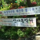 팔성