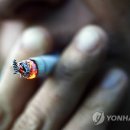 옥전초등학교 이미지