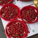 보리수약국 이미지