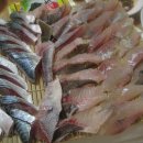 동광초교 이미지