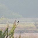 낙동강변15 이미지