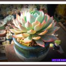 (주)비블루 이미지